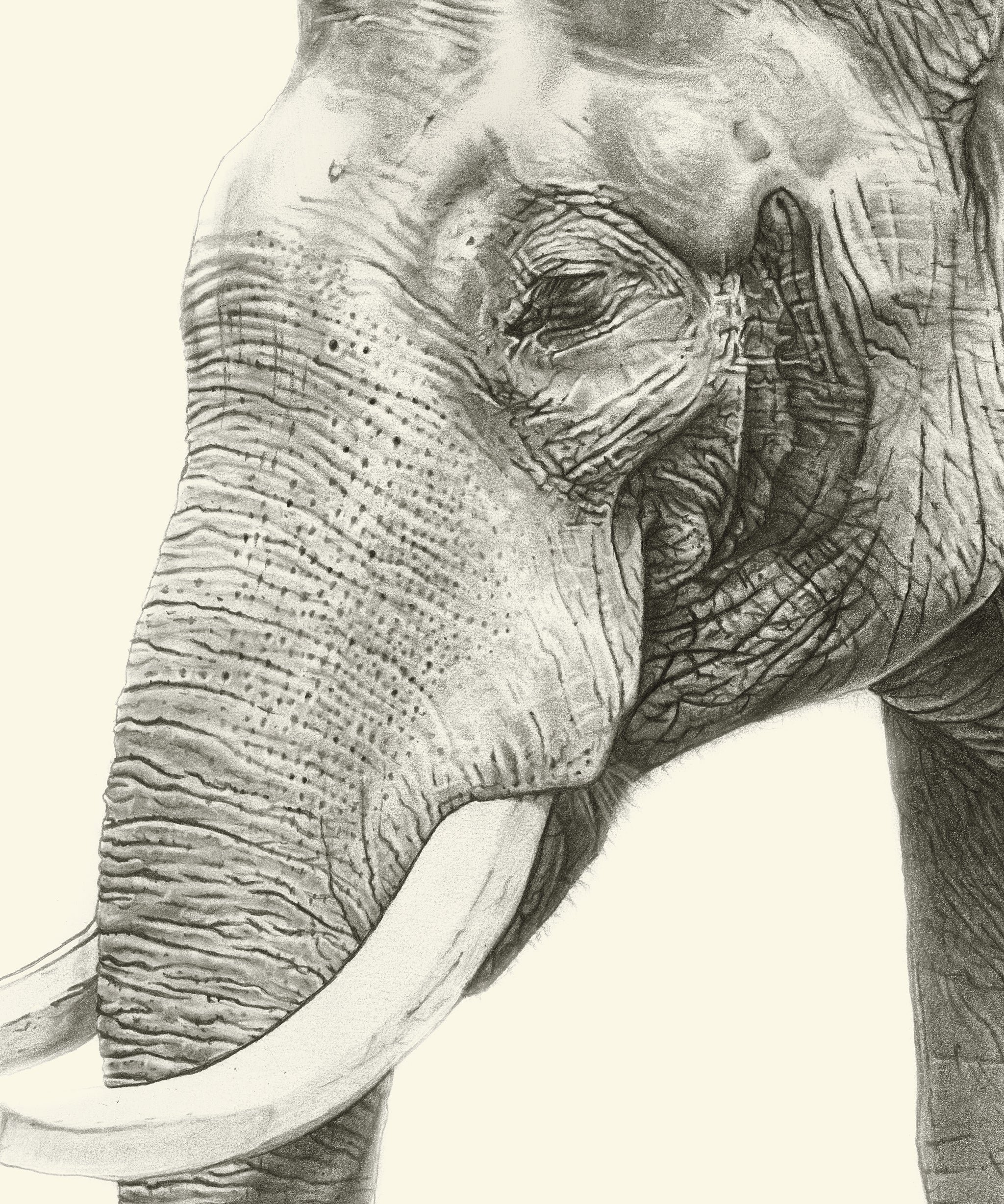 How Majestic You Are