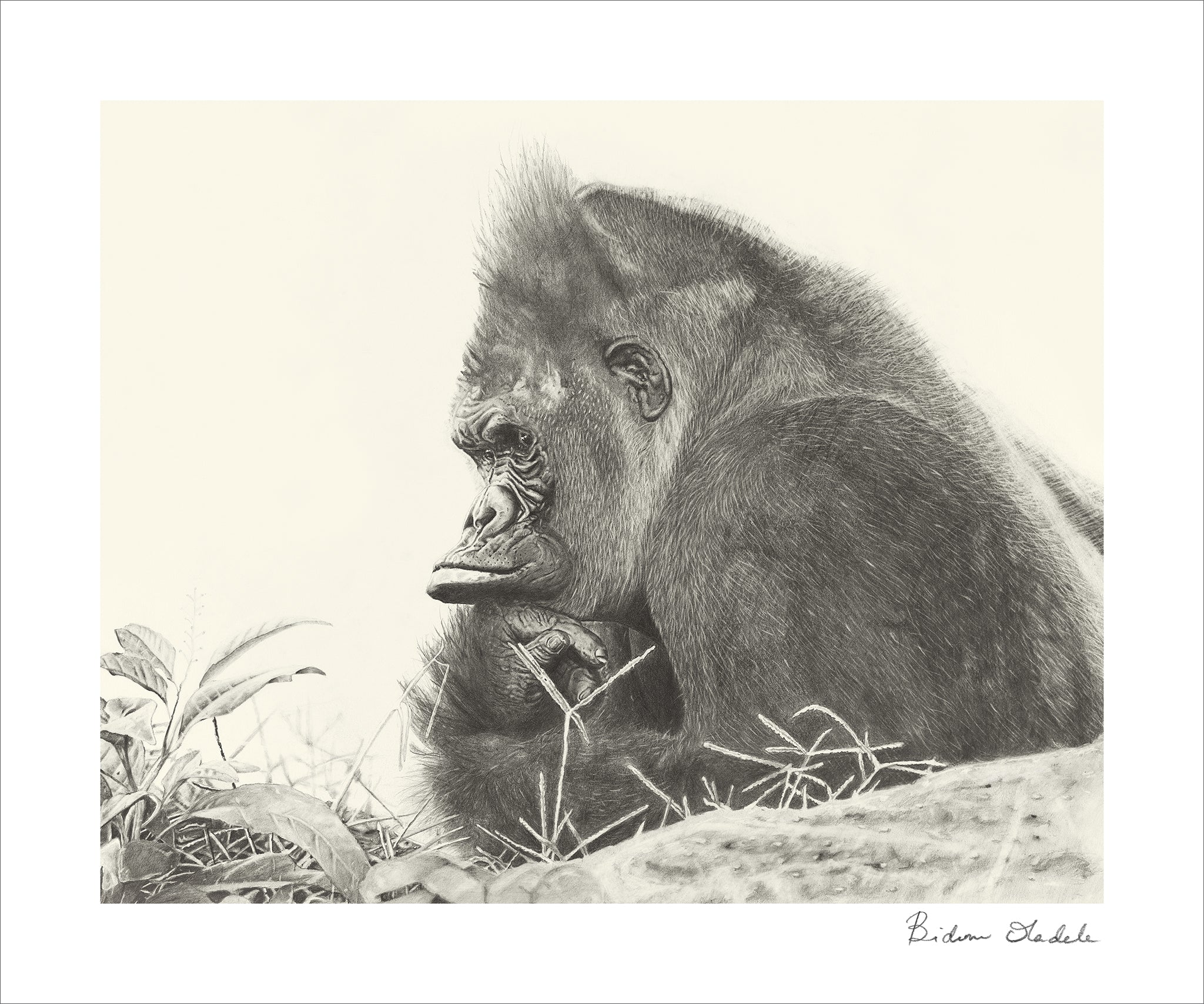 What Are You Thinking About?