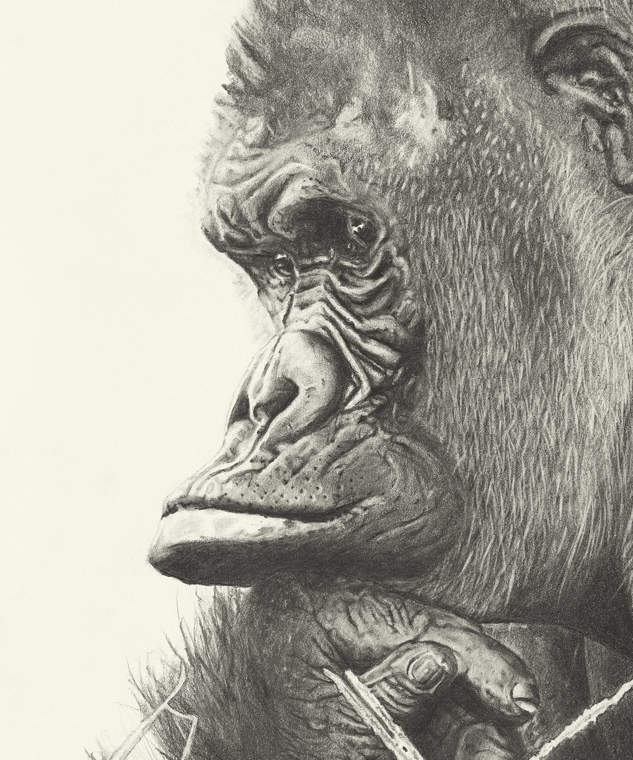 What Are You Thinking About?