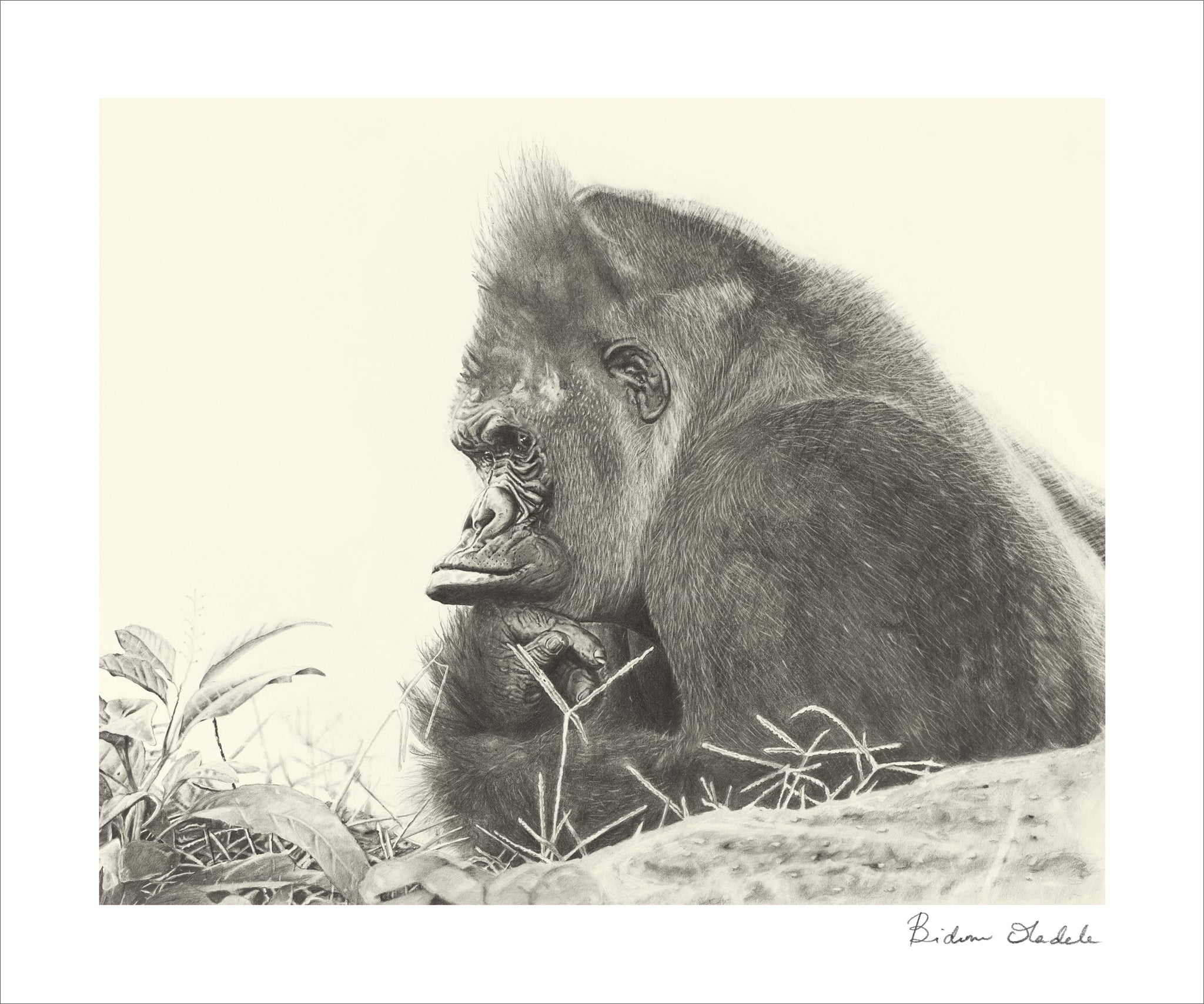 "What Are You Thinking About?"